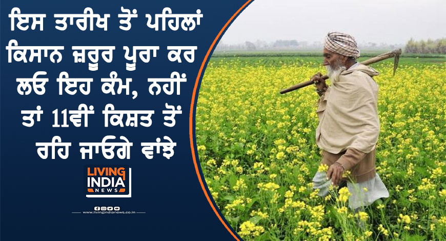 15feb kissan