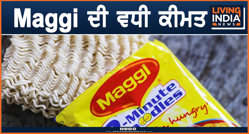 15m maggi