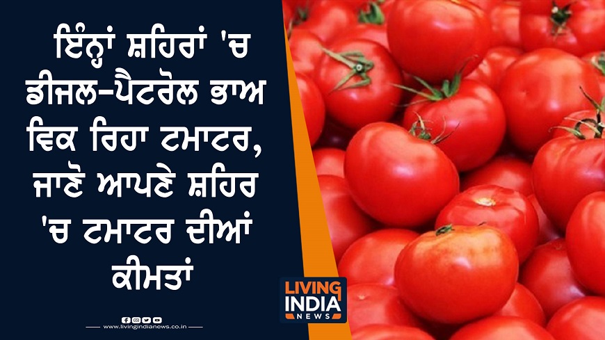 19 oct tomato price