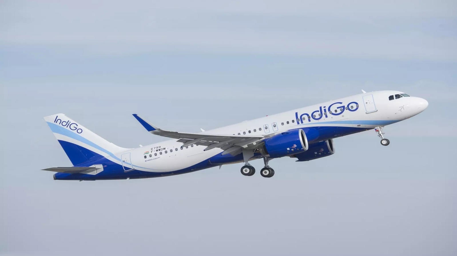 indigo flight news