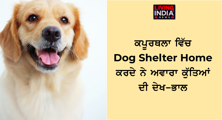 kapurthala dog house news