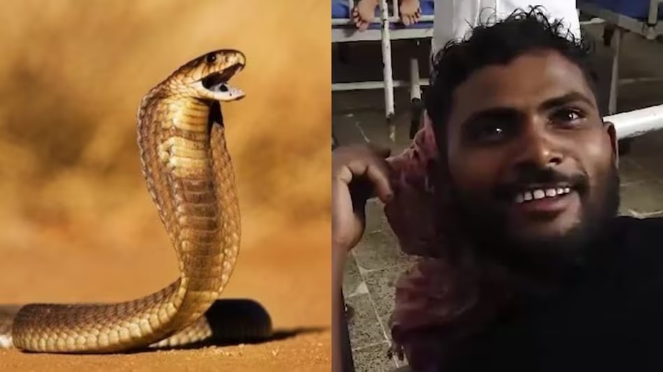 snake vs man