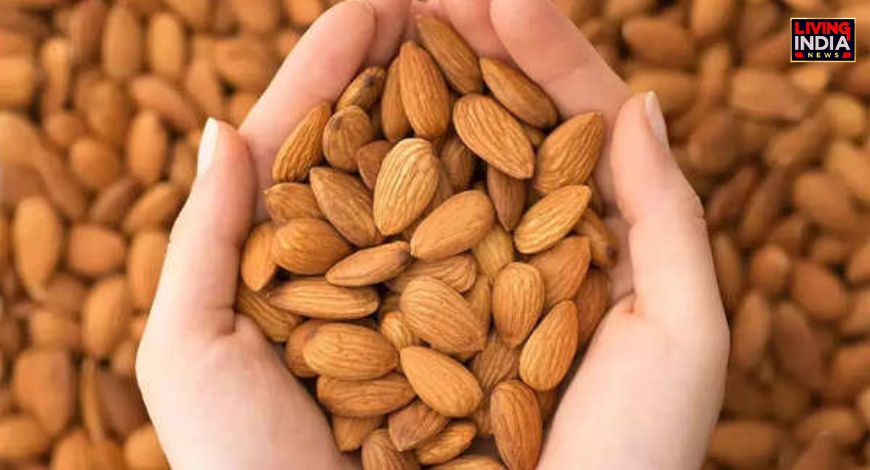 Fake Almonds Fake And Real Almonds: जानें कैसे करे असली और नकली बादाम की पहचान ...