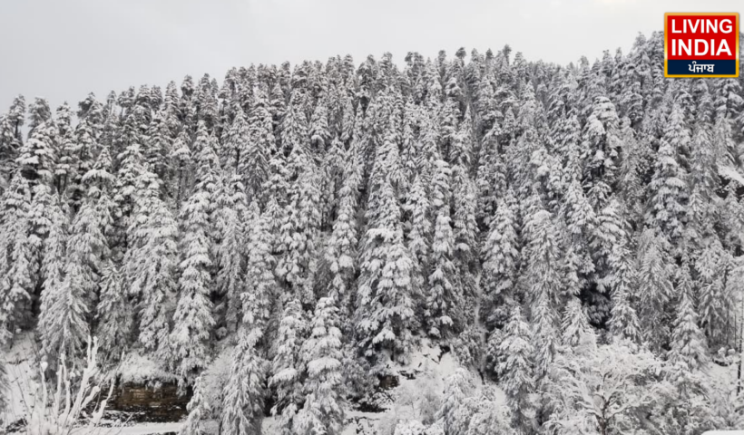 Snowfall In Himachal: बारिश-बर्फबारी से झूमा हिमाचल, अभी जारी रहेगा बर्फबारी का क्रम, देखिए