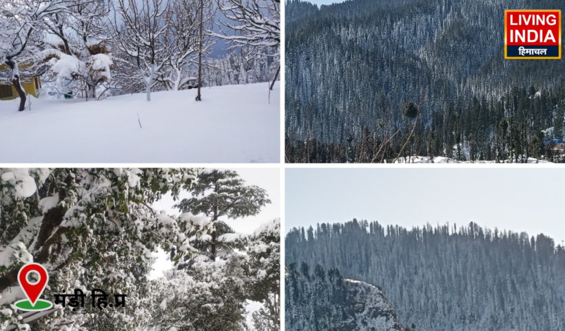 Himachal Weather Update: बर्फ की चादर में ढ़के पहाड़ हिमाचल Snowfall in himachal