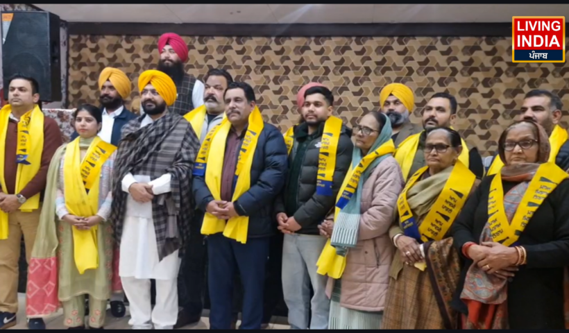 Municipal Council elections