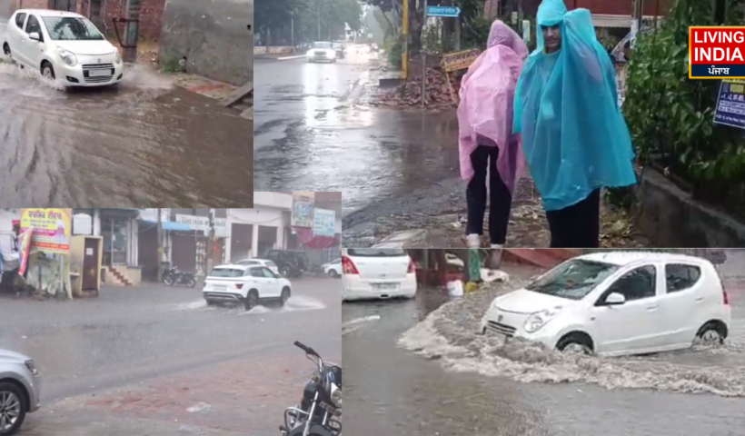 Punjab Rainfall Today
