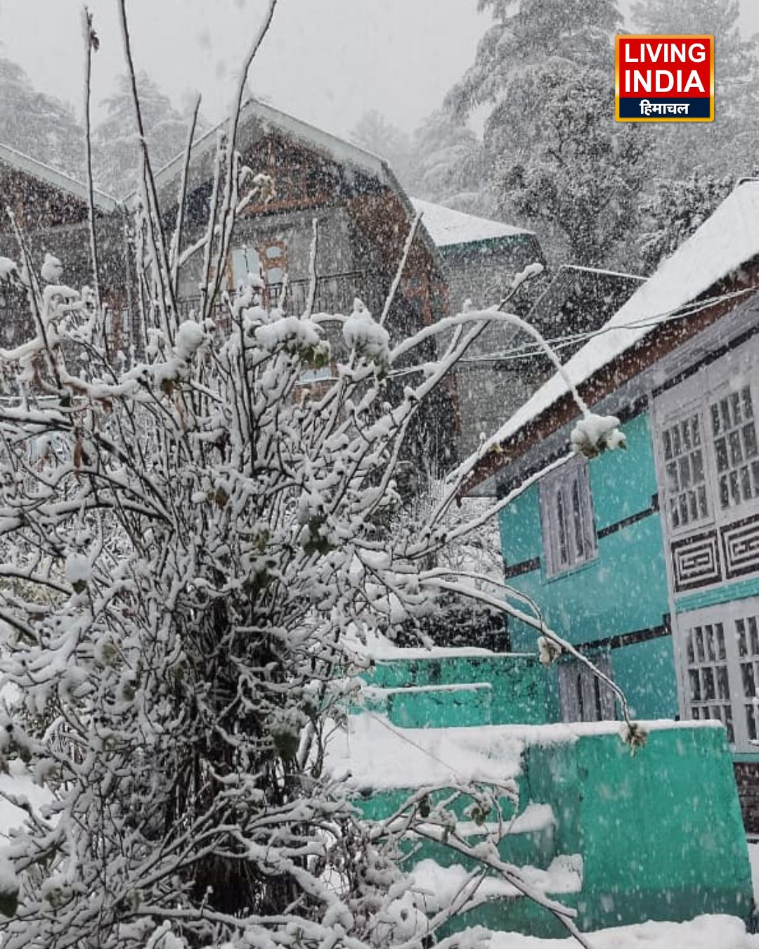 Fresh Snowfall in Himachal Pradesh
