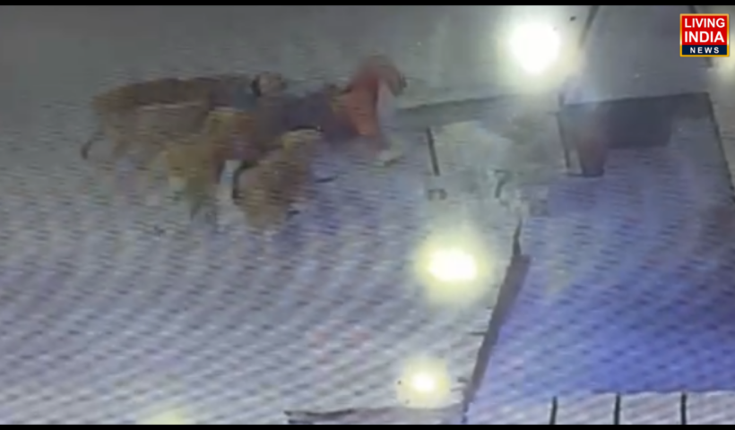 ਸ਼ਹਿਰ ਵਿੱਚ ਆਵਾਰਾ ਕੁੱਤਿਆਂ ਦਾ ਕਹਿਰ ਲਗਾਤਾਰ ਵਧਦਾ ਜਾ ਰਿਹਾ ਹੈ। ਤਾਜ਼ਾ ਮਾਮਲਾ ਮਲੋਟ ਦੇ ਗੁਰਦੁਆਰਾ ਰੋਡ ਤੋਂ ਸਾਹਮਣੇ ਆਇਆ ਹੈ,