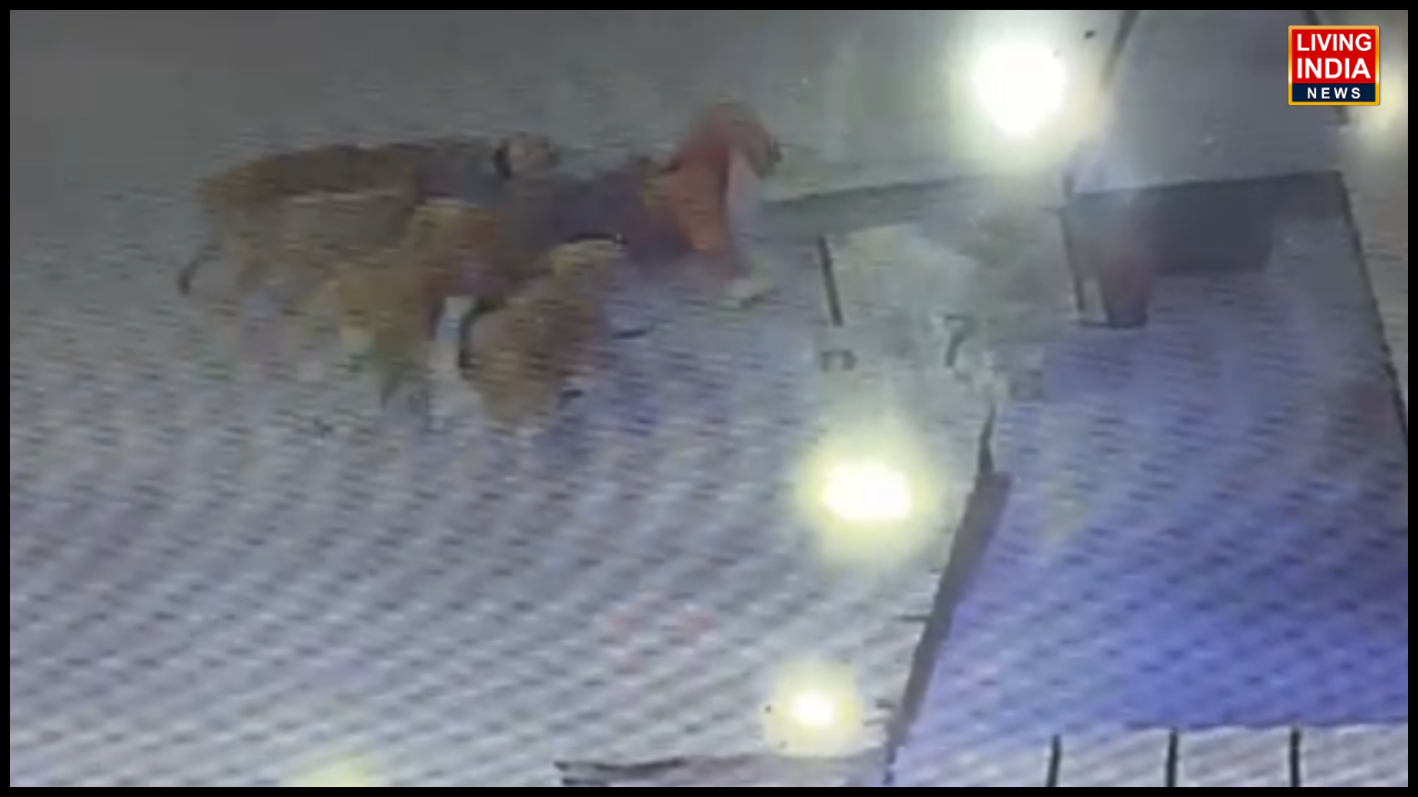 ਸ਼ਹਿਰ ਵਿੱਚ ਆਵਾਰਾ ਕੁੱਤਿਆਂ ਦਾ ਕਹਿਰ ਲਗਾਤਾਰ ਵਧਦਾ ਜਾ ਰਿਹਾ ਹੈ। ਤਾਜ਼ਾ ਮਾਮਲਾ ਮਲੋਟ ਦੇ ਗੁਰਦੁਆਰਾ ਰੋਡ ਤੋਂ ਸਾਹਮਣੇ ਆਇਆ ਹੈ,