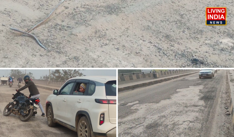 Palwal Hodal-Hasanpur Flyover: पलवल में होडल हसनपुर मार्ग पर बने रेलवे फ्लाईओवर कि जर्जर हालात, गड्ढे का साथ बीच में निकले सरिये