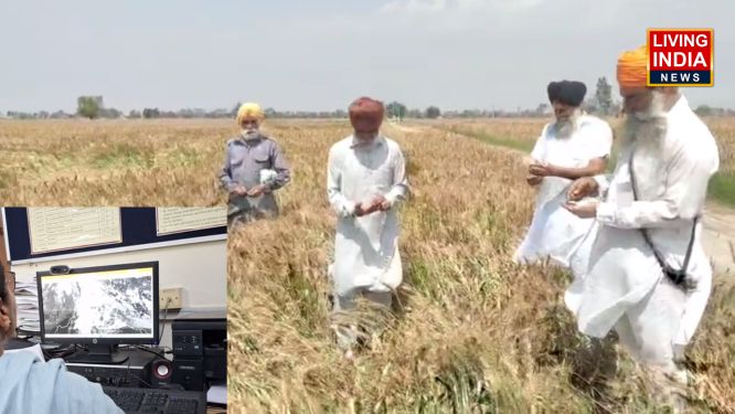 Weather Alert Punjab: पंजाब में मौसम को लेकर अलर्ट: किसानों को फसल की चिंता, गेंहू की पैदावार में कमी