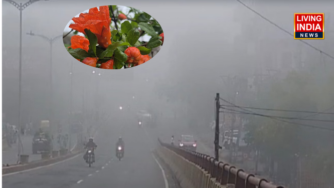 Weather Update Today: दिल्ली-एनसीआर और पंजाब में बारिश से आज राहत, बारिश से ठंड़ बढ़ी, जानिए कैसा रहेगा मौसम?