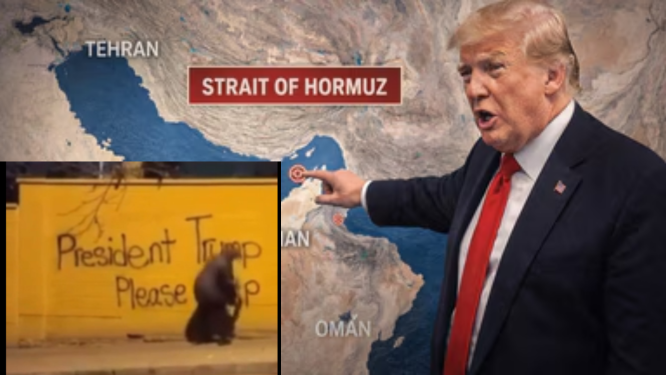 Donald Trump On Iran: डोनाल्ड ट्रंप बोले- ईरान के हाथों अमेरिका को ब्लैकमेल नहीं होने देंगे, ईरान से जुड़ा वीडियो भी किया जारी, देखें वीडियो में क्या