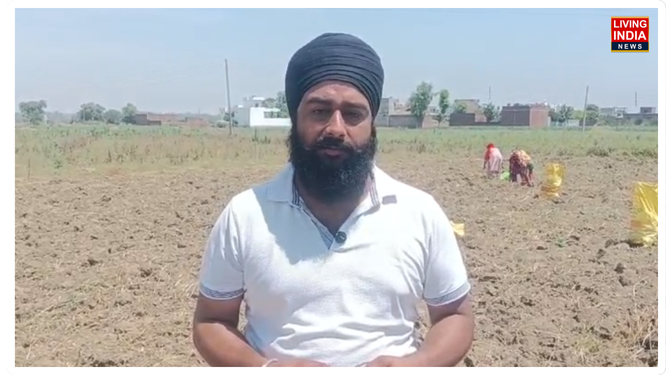 ਸਰਕਾਰ ਵੱਲੋਂ ਪਾਣੀ ਦੀ ਬੱਚਤ ਅਤੇ ਵਾਤਾਵਰਨ ਸੰਤੁਲਨ ਲਈ ਲਗਾਤਾਰ 'ਖੇਤੀ ਵਿਭਿੰਨਤਾ' ਅਪਣਾਉਣ ਦਾ ਹੋਕਾ ਦਿੱਤਾ ਜਾ ਰਿਹਾ ਹੈ। ਪਰ ਅਸਲੀਅਤ ਇਹ ਹੈ ਕਿ ਜੋ ਕਿਸਾਨ