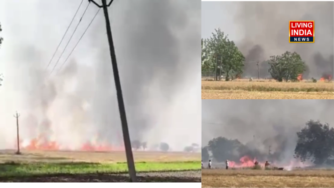 Fatehgarh Sahib Crop Fire: फतेहगढ़ साहिब में 80 से 85 एकड़ गेहूं जलकर राख, तीन गांवों में की तैयार फसल राख में बदली