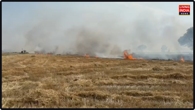 ਪਿੰਡ ਲੰਮਿਆਂ ਵਿਖੇ ਇੱਕ ਪਰਿਵਾਰ ਦੀ ਖੁਸ਼ੀ ਉਸ ਸਮੇਂ ਮਾਤਮ ਵਿੱਚ ਬਦਲ ਗਈ ਜਦੋਂ ਪਟਾਕੇ ਚਲਾਉਣ ਦੀ ਲਾਪਰਵਾਹੀ ਕਾਰਨ ਭਿਆਨਕ ਅੱਗ ਲੱਗ ਗਈ।