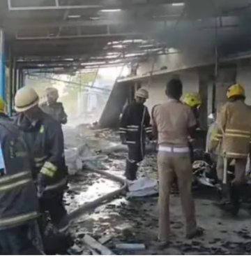 Tamil Nadu Factory Firecracker: तमिलनाडु में पटाखा फैक्टरी में आग, 13 लोगों की मौत  