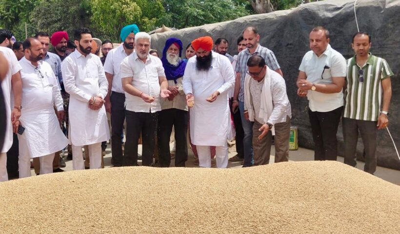 ਪੰਜਾਬ ਦੀਆਂ ਮੰਡੀਆਂ ‘ਚ 28 ਲੱਖ ਮੀਟਰਿਕ ਟਨ ਕਣਕ ਦੀ ਆਮਦ, 24 ਲੱਖ ਮੀਟਰਿਕ ਟਨ ਤੋਂ ਵੱਧ ਦੀ ਖ਼ਰੀਦ : ਲਾਲ ਚੰਦ ਕਟਾਰੂਚੱਕ