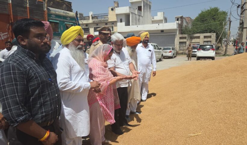 Food, Civil Supplies & Consumer Affairs Minister Lal Chand Kataruchak takes stock of Wheat procurement at Sangrur anaj mandi