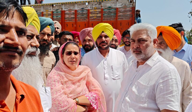 खाद्य एवं नागरिक आपूर्ति मंत्री लाल चंद कटारूचक ने संगरूर अनाज मंडी में खरीद कार्यों का लिया जायजा, राज्य की मंडियों में गेहूं की आवक में तेजी, किसानों को अब तक 1818.31 करोड़ रुपये का भुगतान: लाल चंद