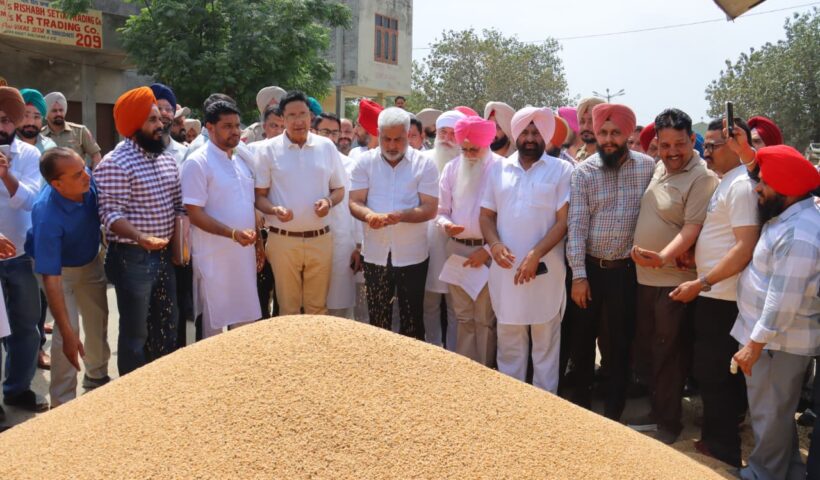 मंत्री लाल चंद कटारूचक्क ने भगतांवाला अनाज मंडी में चल रही गेहूं खरीद का लिया जायजा
