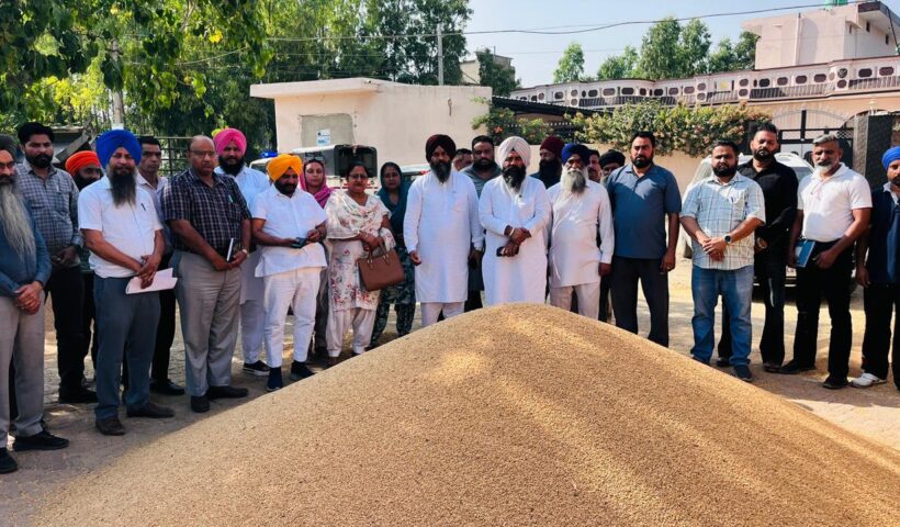 ਮੰਡੀਆਂ ਵਿੱਚ ਸੁਵਿਧਾਵਾਂ ਅਤੇ ਖਰੀਦ ਪ੍ਰਬੰਧਾਂ ਦਾ ਜਾਇਜ਼ਾ ਲੈਣ ਪਹੁੰਚੇ ਡਿਪਟੀ ਸਪੀਕਰ ਰੌੜੀ