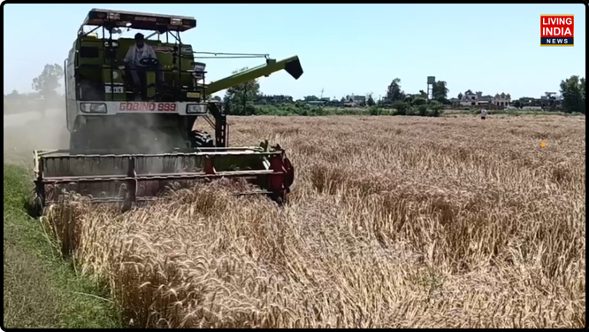 ਸਰਹੱਦੀ ਹਲਕਾ ਡੇਰਾ ਬਾਬਾ ਨਾਨਕ ਵਿੱਚ ਲੰਬੇ ਇੰਤਜ਼ਾਰ ਤੋਂ ਬਾਅਦ ਮੌਸਮ ਸਾਫ਼ ਹੋਣ 'ਤੇ ਕਿਸਾਨਾਂ ਨੇ ਸੁੱਖ ਦਾ ਸਾਹ ਲਿਆ ਹੈ। ਮੌਸਮ ਵਿੱਚ ਸੁਧਾਰ ਹੁੰਦਿਆਂ