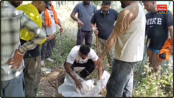 ਨਜਾਇਜ਼ ਸ਼ਰਾਬ ਦੇ ਕਾਰੋਬਾਰ ਵਿਰੁੱਧ ਵਿੱਢੀ ਮੁਹਿੰਮ ਤਹਿਤ ਆਬਕਾਰੀ ਵਿਭਾਗ ਅਤੇ ਗੁਰਦਾਸਪੁਰ ਪੁਲਿਸ ਨੇ ਸਾਂਝੇ ਤੌਰ 'ਤੇ ਦਰਿਆ ਬਿਆਸ ਦੇ ਕੰਢੇ ਵੱਡੀ ਕਾਰਵਾਈ ਕੀਤੀ ਹੈ।