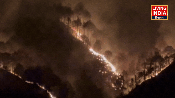 Himachal Kyarighat Forests Fire: हिमाचल के क्यारीघाट गांव में भीषण आग से धधक रहे जंगल, जानिए कितने दिनों से लगी है आग और कैसे ग्रामीण लोगों ने संभाला मोर्चा?