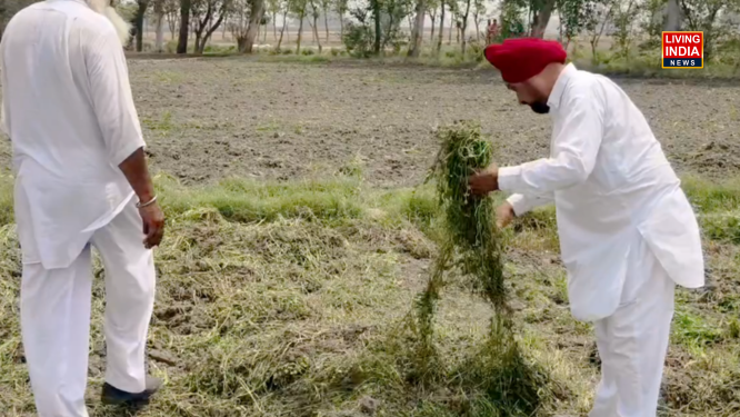 ਜ਼ਮੀਨੀ ਵਿਵਾਦ ਅਕਸਰ ਪਰਿਵਾਰਕ ਰਿਸ਼ਤਿਆਂ ਵਿੱਚ ਨਫਰਤ ਫੈਲਾ ਦਿੰਦੇ ਹਨ। ਅਜਿਹਾ ਹੀ ਇੱਕ ਦੁਖਦਾਈ ਮਾਮਲਾ ਦਿੜਬਾ ਦੇ ਨਜ਼ਦੀਕੀ ਪਿੰਡ ਜਨਾਲ