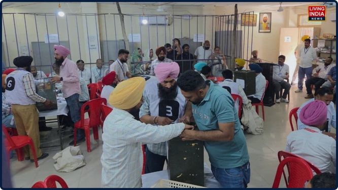 ਫਿਲੌਰ ਨਗਰ ਕੌਂਸਲ ਦੇ ਸਾਰੇ 15 ਵਾਰਡਾਂ ਦੇ ਚੋਣ ਨਤੀਜੇ ਅਧਿਕਾਰਤ ਤੌਰ 'ਤੇ ਸਾਹਮਣੇ ਆ ਚੁੱਕੇ ਹਨ। ਸਥਾਨਕ ਕਮਿਊਨਿਟੀ ਹਾਲ ਵਿਖੇ ਪੁਖ਼ਤਾ ਪ੍ਰਬੰਧਾਂ