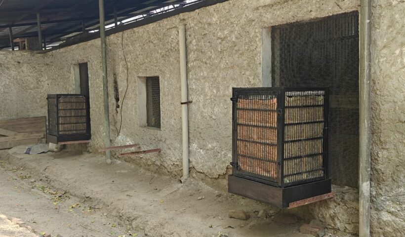 Chhatbir Zoo ensures comprehensive arrangements for providing respite to animals from scorching summer heat: Lal Chand Kataruchak