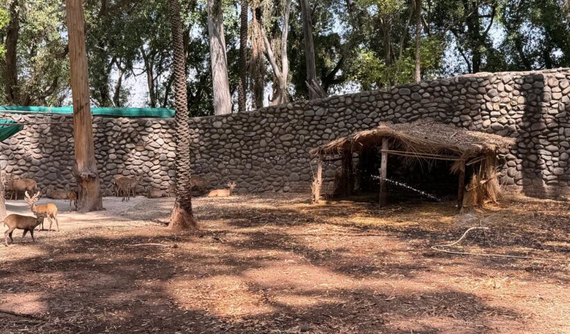 छत्तबीड़ चिड़ियाघर ने जानवरों को गर्मियों के दौरान तेज धूप और लू से बचाने के लिए व्यापक प्रबंध सुनिश्चित किए: लाल चंद कटारूचक्क