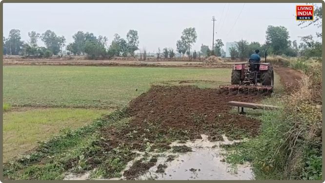 Paddy planting begins