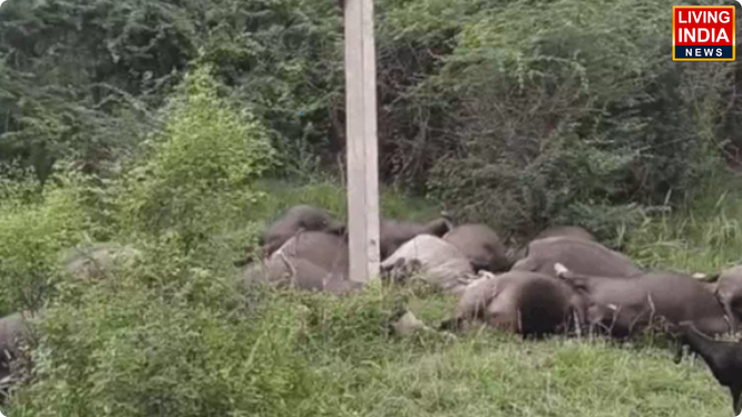 करनाल