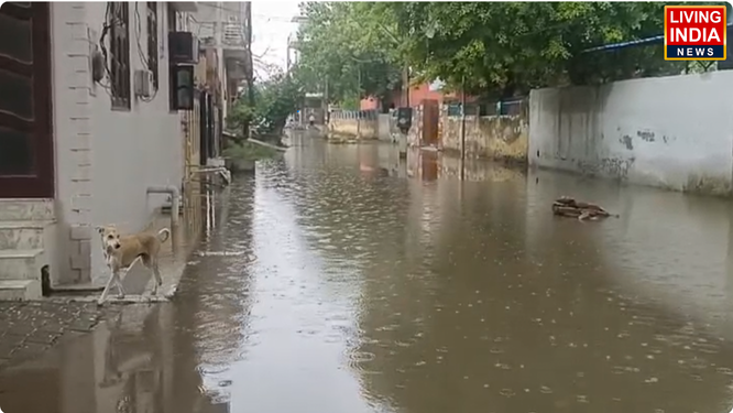 पलवल