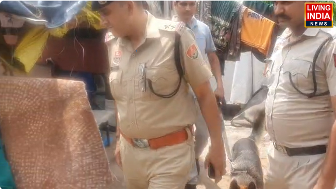 PANCHKULA