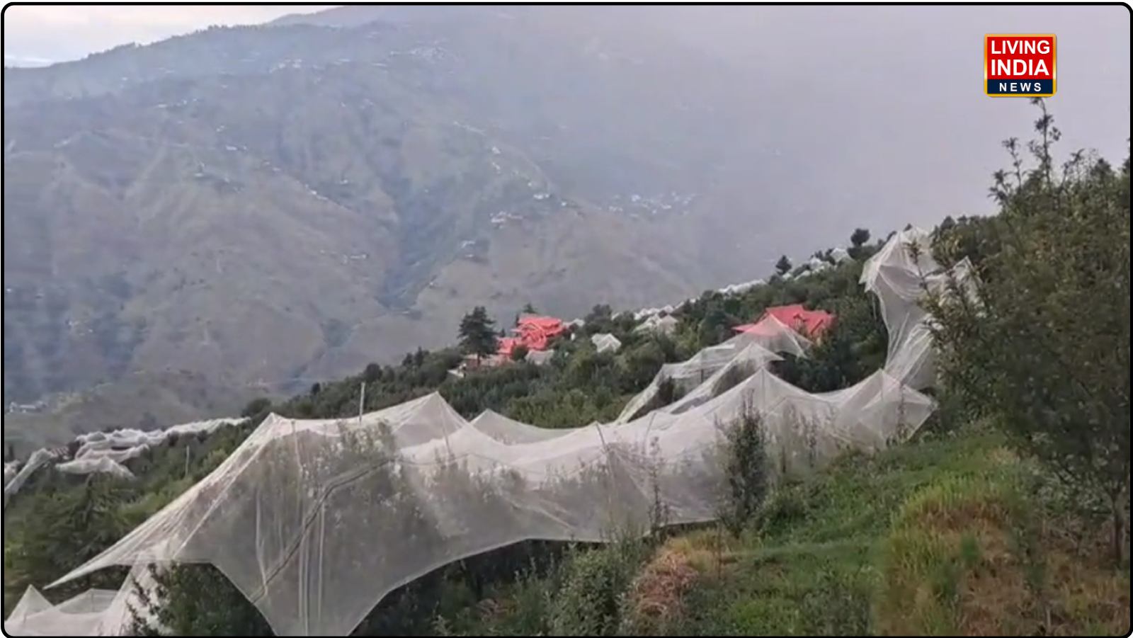 SHIMLA