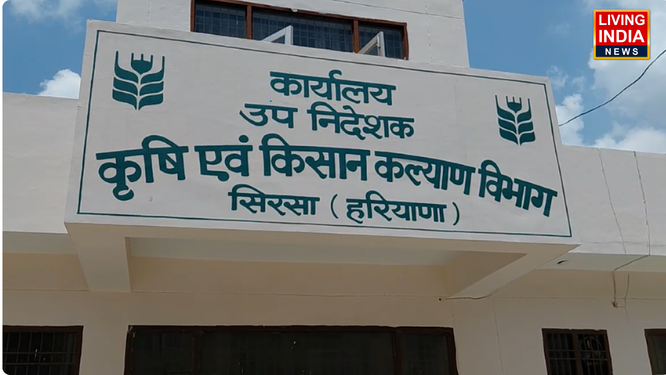 सिरसा