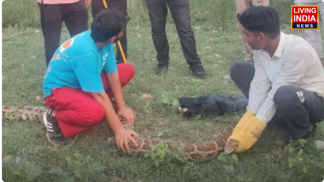 यमुनानगर