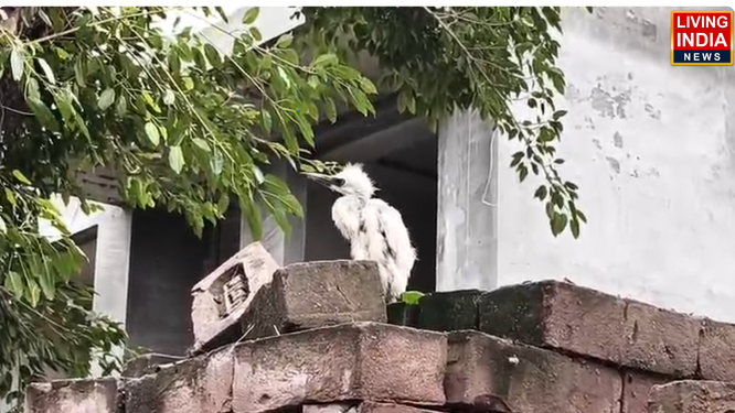 पानीपत