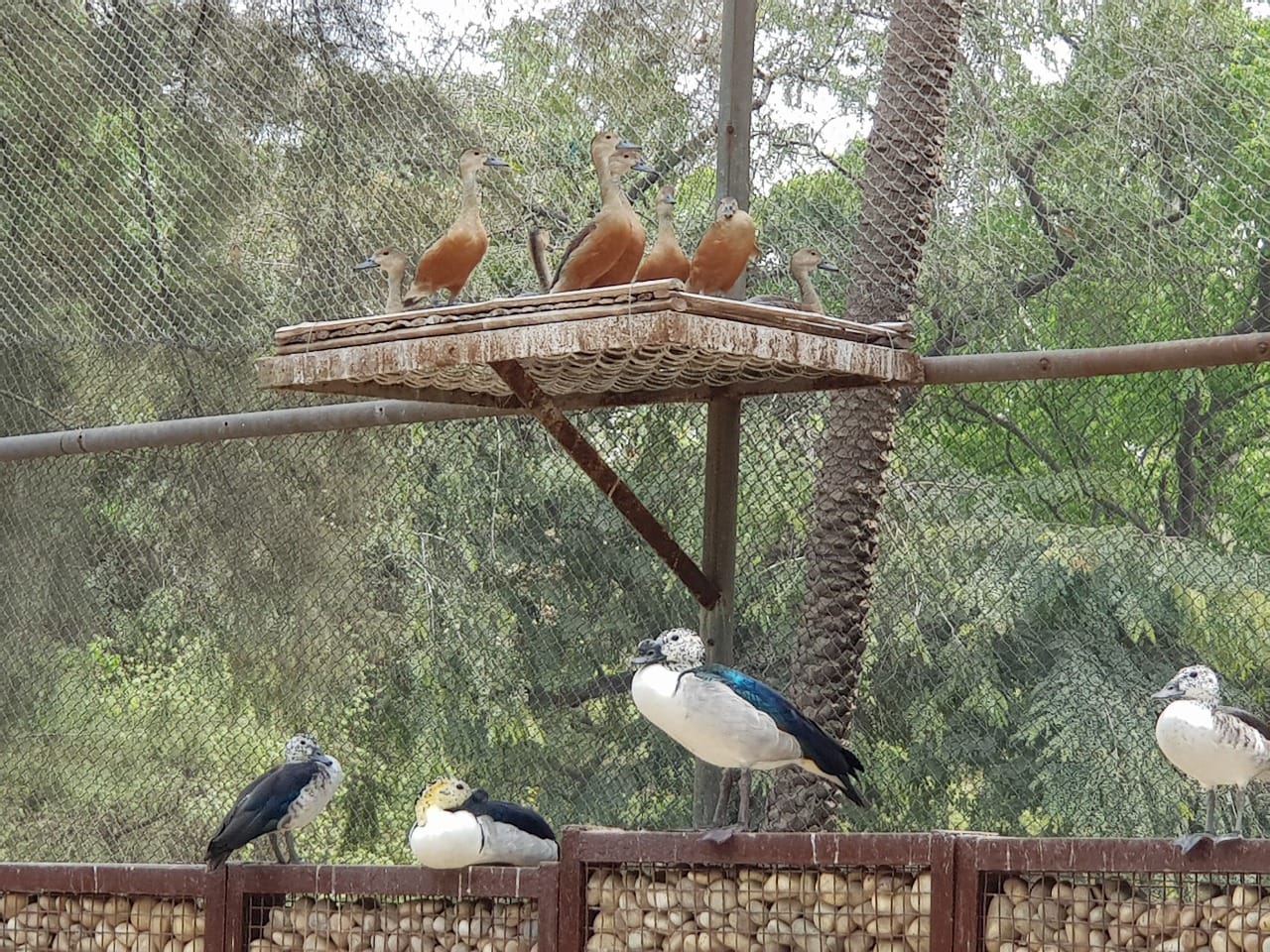 Punjab