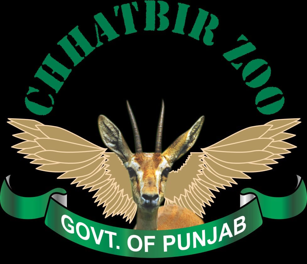 पंजाब