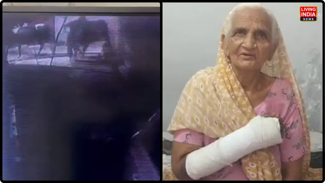 पंचकूला