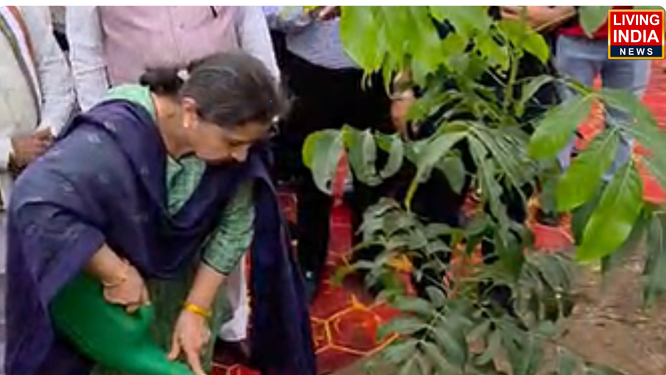 पंचकूला