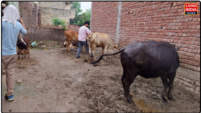 करनाल