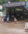 पठानकोट