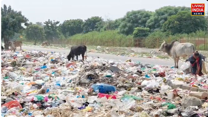 फरीदाबाद