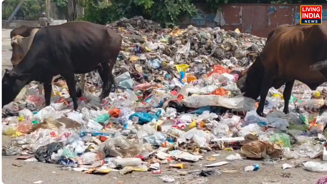 फरीदाबाद